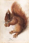 HOFFMANN, Hans Squirrel wf oil painting